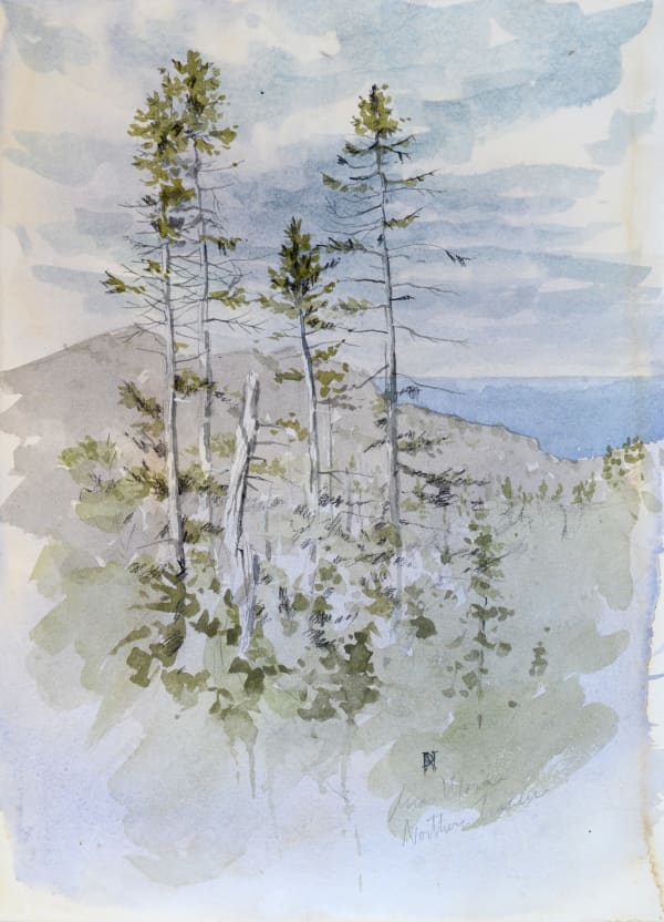 Duane Nickerson, Coast (Study), 2020