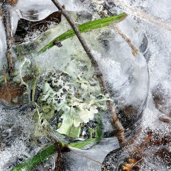 Arnold Zageris, Frozen 1/5, 2023