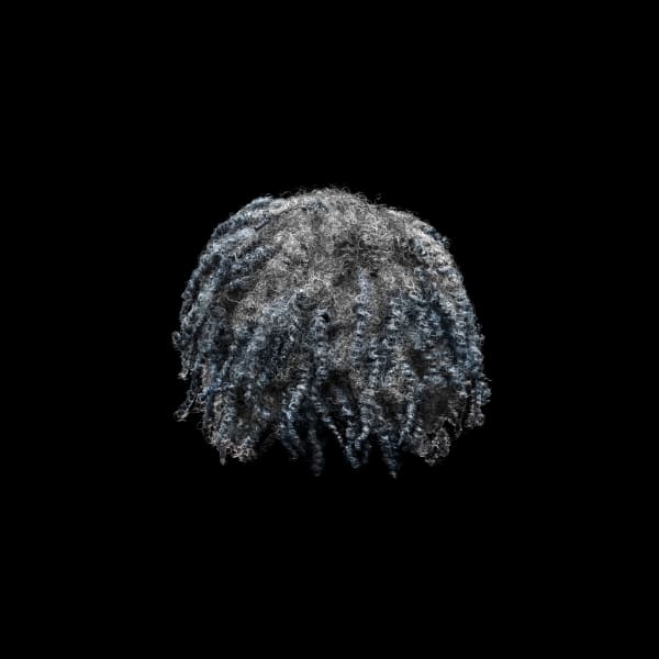 Framed photograph by Stephane Alexis titled "Finger Twists No.1" 2022. Rear view of grey and blue finger twisted hair on a black background.