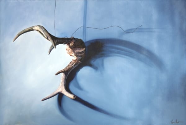 Richard A. Jacobson, Antler on Wire, 2017