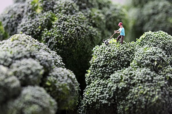 Christopher Boffoli, Broccoli Mower, 2010
