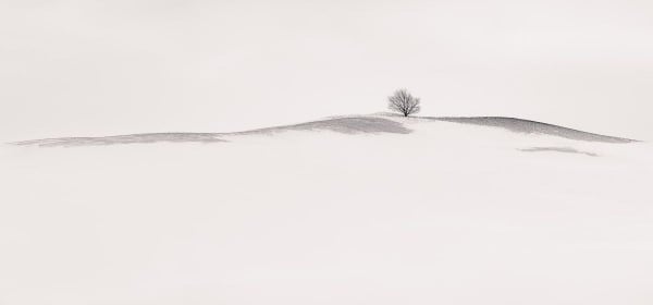 Peter Dušek, Shibumi 1/5 Mulmur, ON, 2017