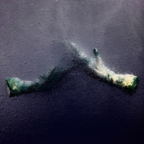 Stéphane Alexis, Poultry no. 2 , 2021