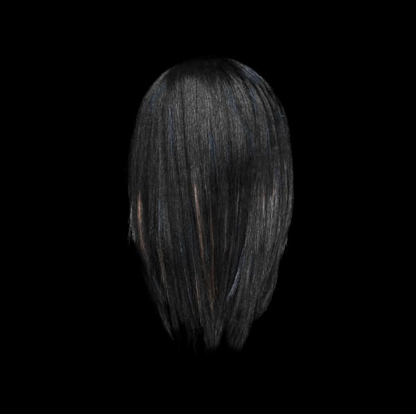 Framed photograph by Stephane Alexis titled "Flat Iron No.1" 2022. Rear view of flat ironed dark hair with streaks of blue and brown.