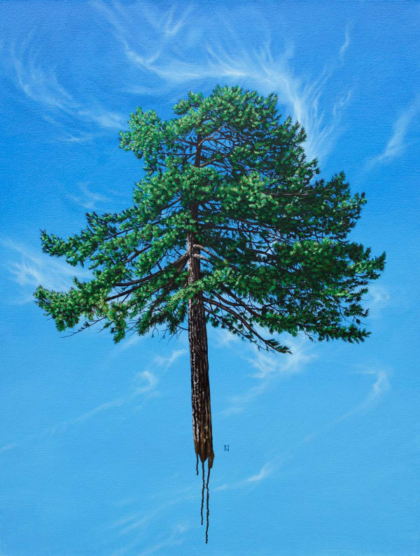 Duane Nickerson, Pine Sky, 2017