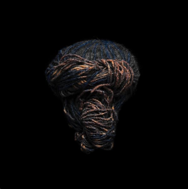 Framed photograph by Stephane Alexis titled "Ombré Locs No. 1" 2022. Rear view of tied up locs with blue to orange ombré on black background.