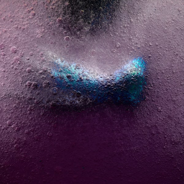 Stéphane Alexis, Poultry no. 5 , 2021