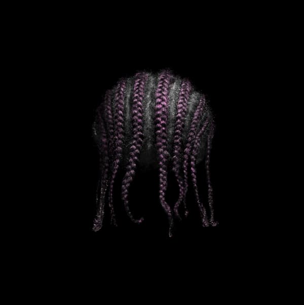 Framed photograph by Stephane Alexis titled "Rows No.2" 2022. Rear view of an isolated head styled in deep purple cornrows against a black background.