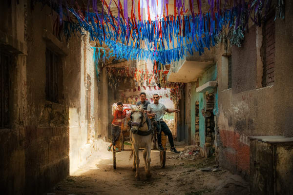 Matthew Stephenson, Chariots of Cairo 1/5, 2022