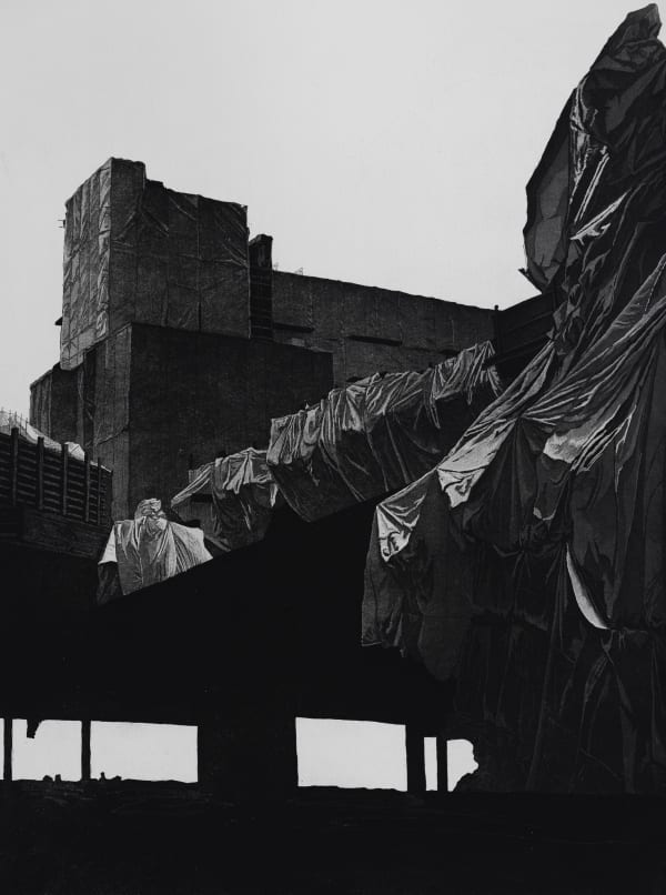 Alex R.M. Thompson, Preserve 1/3, 2020