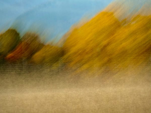 Steve Kean, Autumn Brushes, ed. of 25, 2024