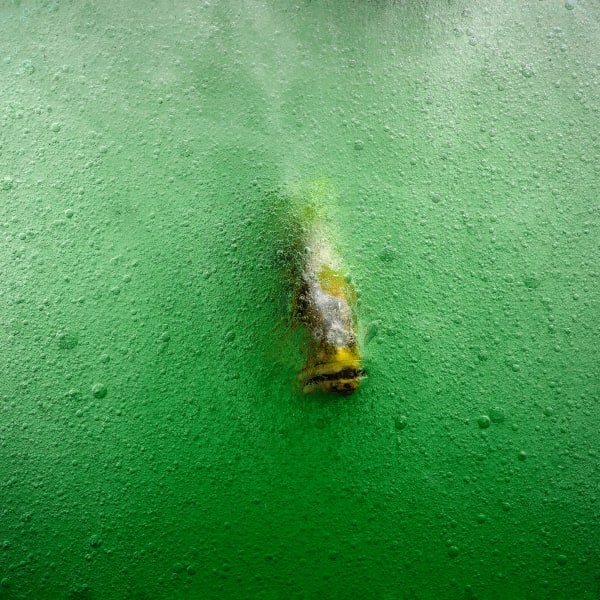 Stéphane Alexis, Discovery, 2021