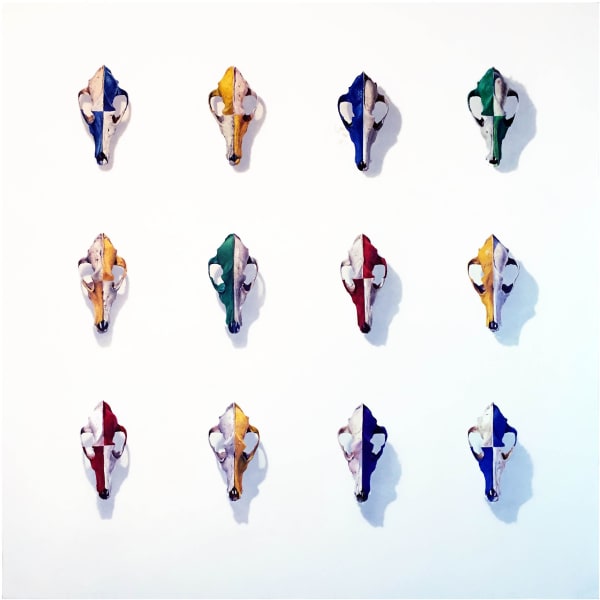 Richard A. Jacobson, Shields, 2017