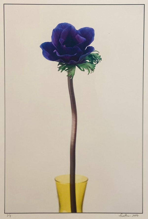 Henry Feather, Purple Flower in Yellow Vase 1/7, 2006