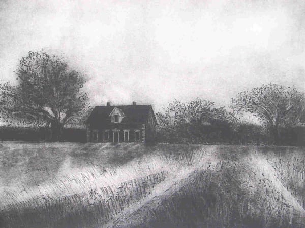 Dan Steeves, Withstanding the Flood 9/16, 1993