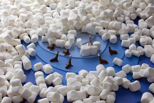 Christopher Boffoli, Marshmallow Seal Trainer 3/30, 2014