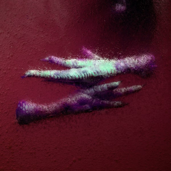 Stéphane Alexis, Poultry no. 8, 2021