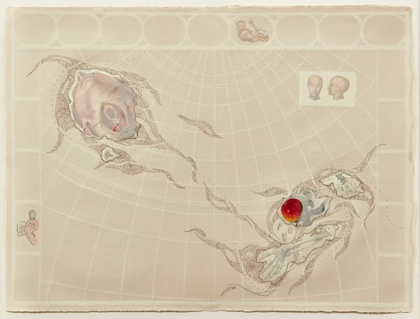 Abby Leigh, My Personal Atlas, Nectarine and Throat, 2004