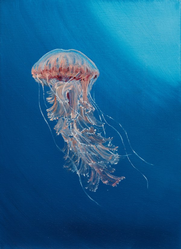 Abby Leigh, Jellyfish 6, 2023