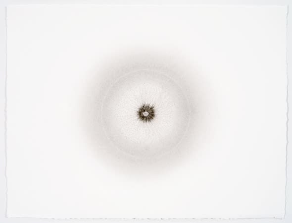 Abby Leigh, Sumi Ink 10