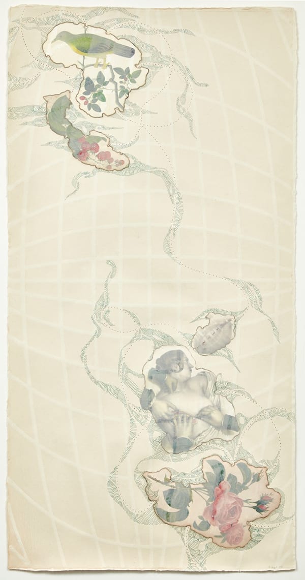 My Personal Atlas, Mastectomy and Roses, 2004