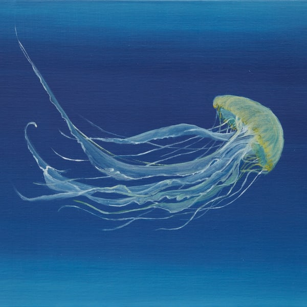 Jellyfish Paintings
