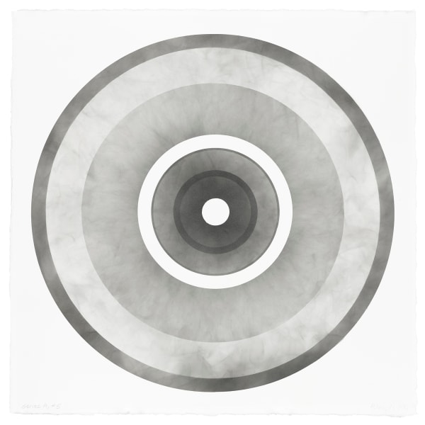 Nine Targets*, 2009-2011