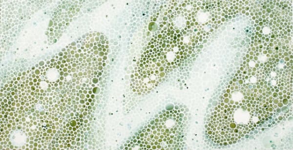 Abby Leigh, Inner Circle 8, 2006