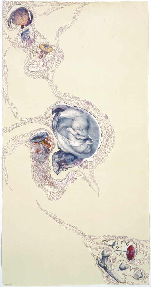 My Personal Atlas, Baby and Sea Creature, 2004