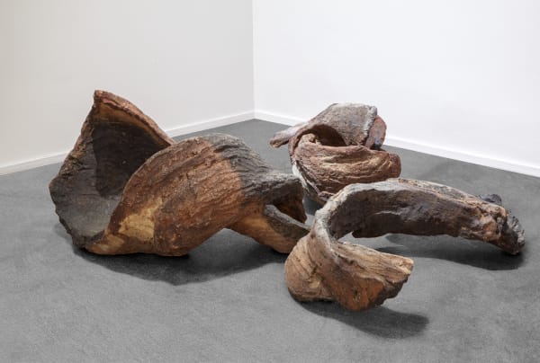 Nanni Valentini, Deriva (Spirale, Nodo, Tangente), 1982-83