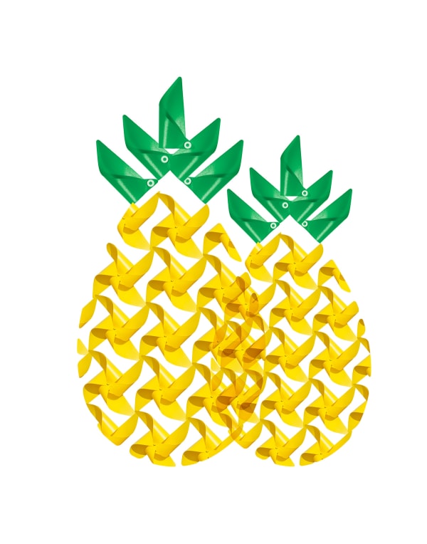 Cassandra C. Jones, Two Pineapples in the Wind, 2022