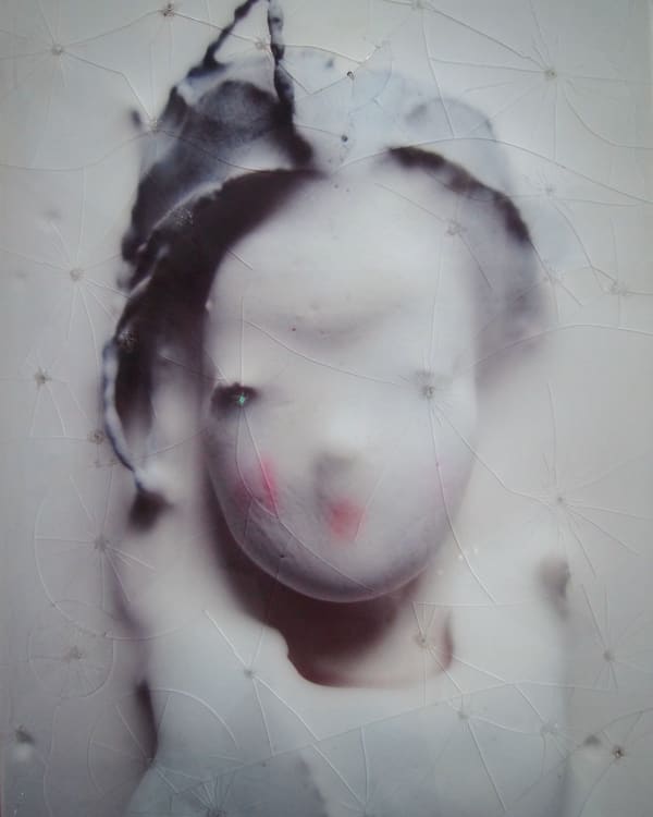 Stephanie Todhunter, marnie (glass chrysanthemum), 2016