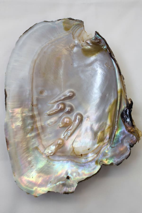 Kristina McComb, Manufactured Autonomy, 21, 2016