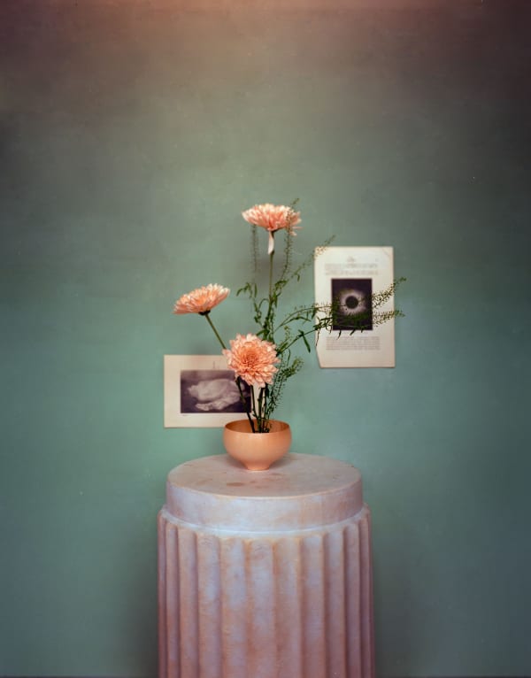 Matthew Morrocco, Flower Portrait 30, 2024
