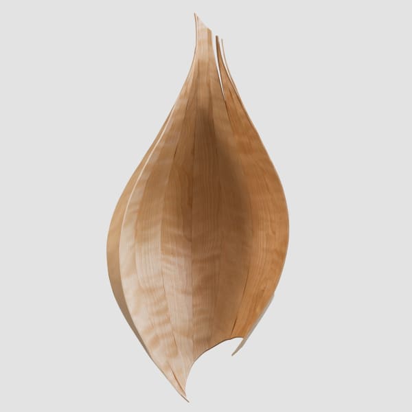 Alison Croney Moses, Maple Cupped, 2024