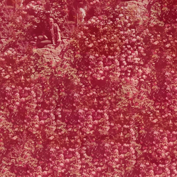 Monica Hamilton, Woman in the rhododendrons, 2023