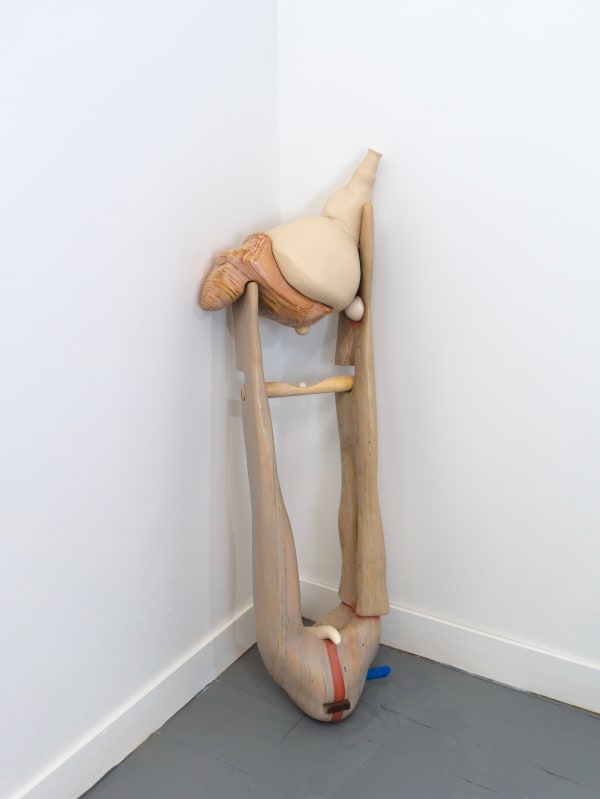 Cathy Della Lucia, Close to Hedged, 2020