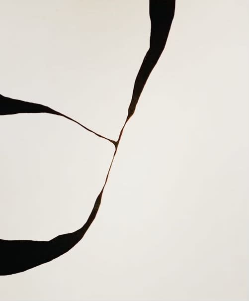 Alicia Gimeno, Form & Line 8