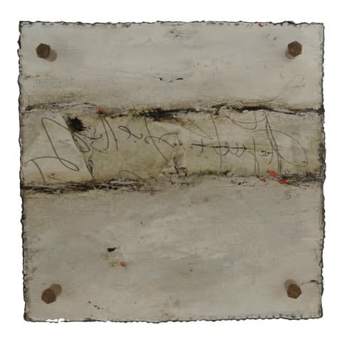 Michelle Y Williams, cut25-316