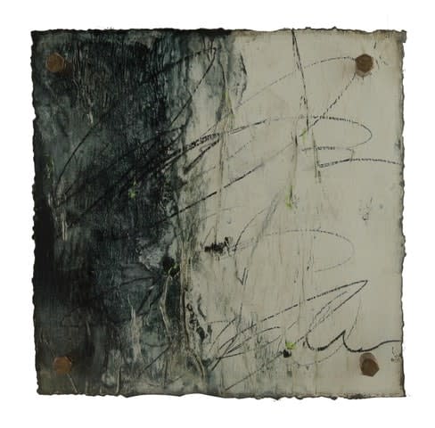 Michelle Y Williams, cut25-642