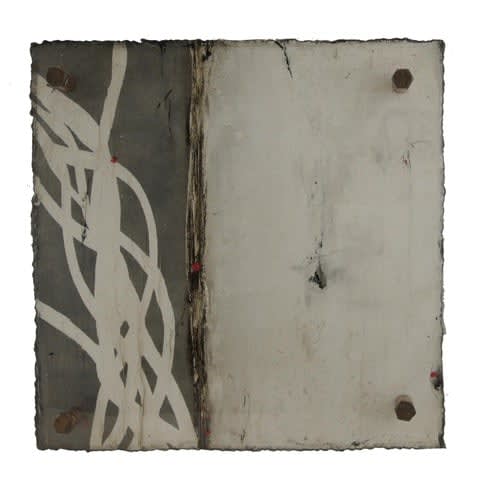 Michelle Y Williams, cut25-468