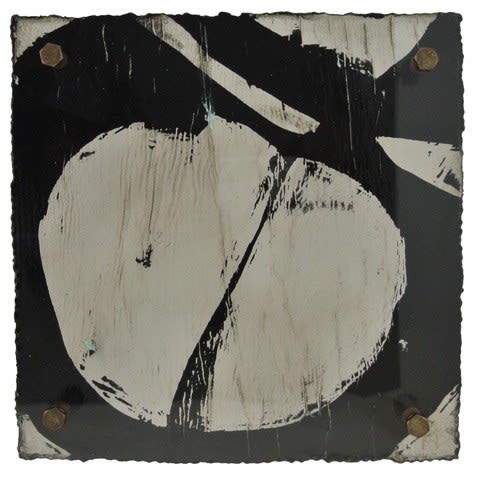 Michelle Y Williams, cut24-673