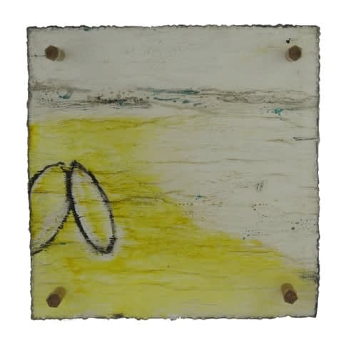 Michelle Y Williams, cut23-450