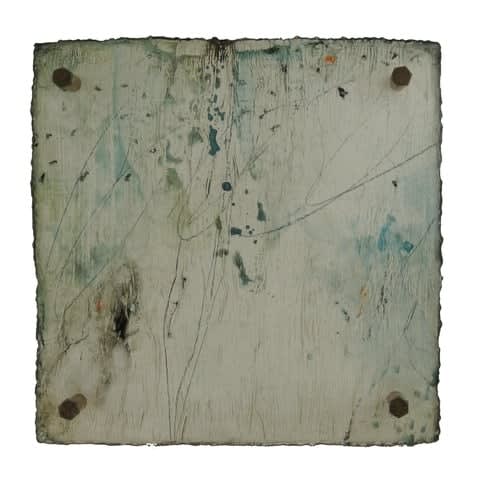 Michelle Y Williams, cut25-357