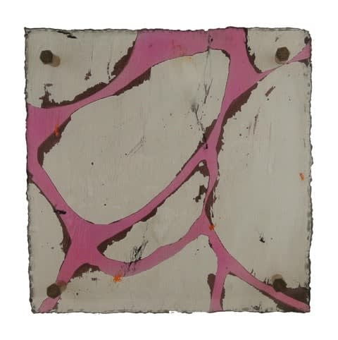 Michelle Y Williams, cut25-359