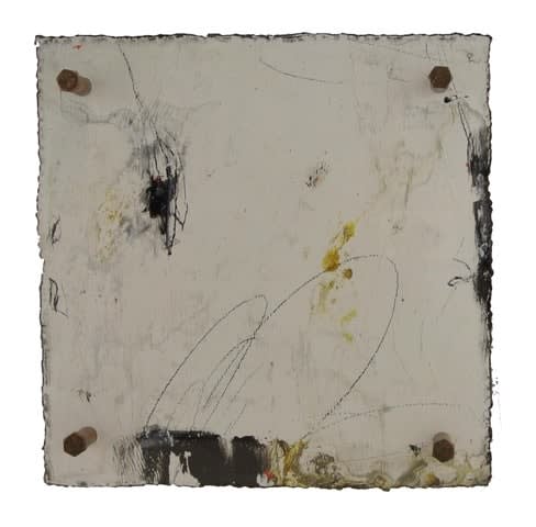 Michelle Y Williams, cut25-631