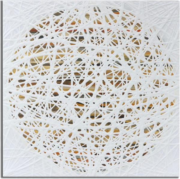 Michael Hoffman, Tangier Summer