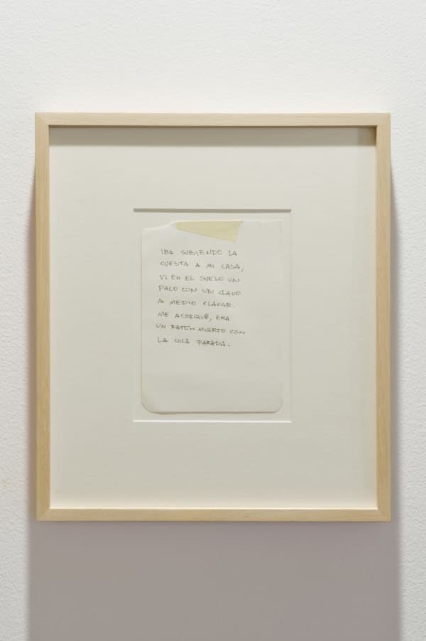 Alejandro Leonhardt, Bosquejo de la palabra imagen, 2014