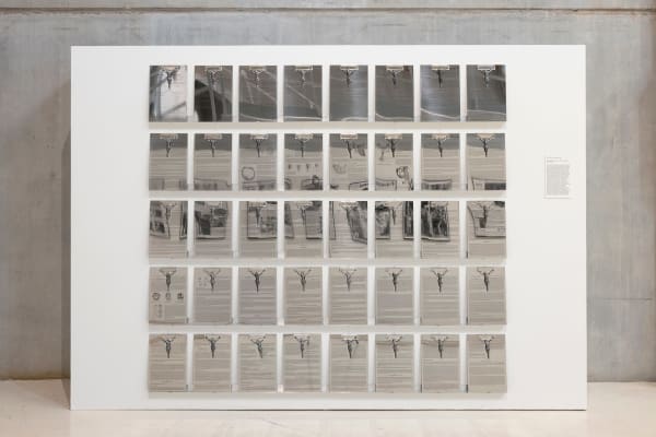 Daniel Gasol, Resumen de una vida sexual sana, 2024 - 2025