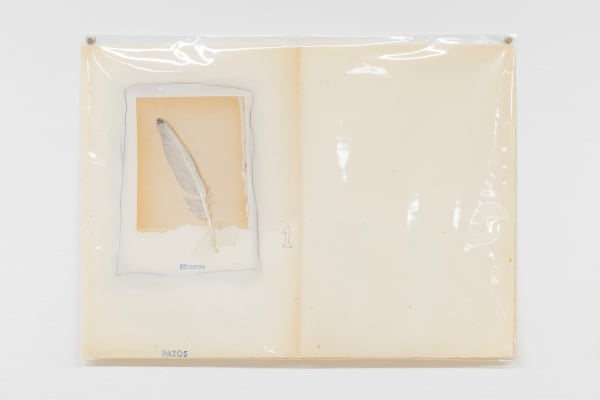 Carlos Pazos, Láminas para iluminar (segunda 1), ca. 1973